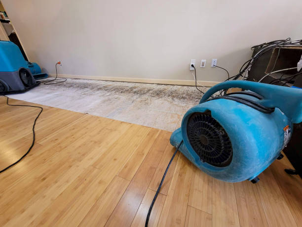 Professional Water Removal technician working in Harvard, IL